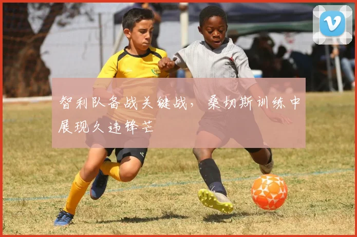 智利队备战关键战，桑切斯训练中展现久违锋芒