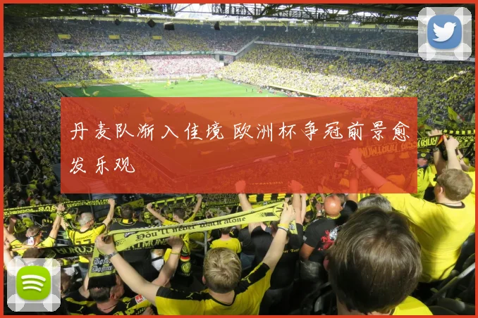 丹麦队渐入佳境 欧洲杯争冠前景愈发乐观