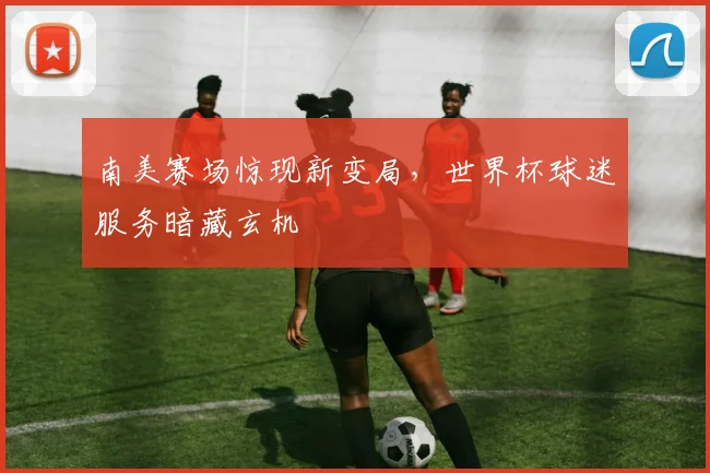 南美赛场惊现新变局，世界杯球迷服务暗藏玄机