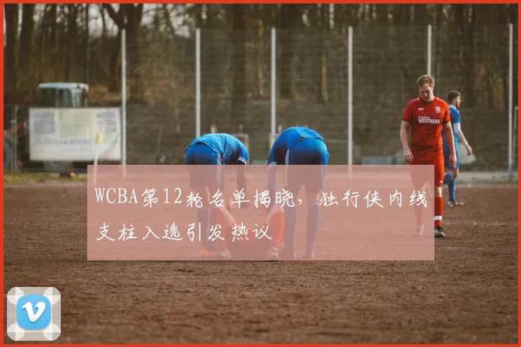WCBA第12轮名单揭晓，独行侠内线支柱入选引发热议