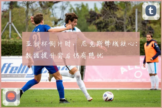 亚洲杯倒计时，尼克斯锋线核心：数据提升背后仍有隐忧 - 竞彩网